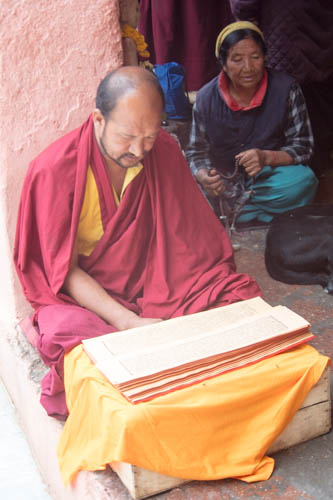 mahabodhitempleprayingmonk